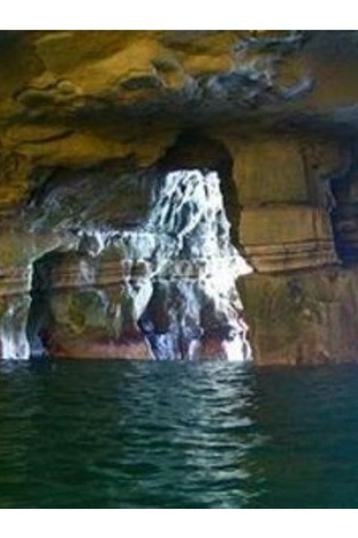 La Jolla Cove and Caves Snorkeling Tour- Sealions - Tour Overview and Pricing