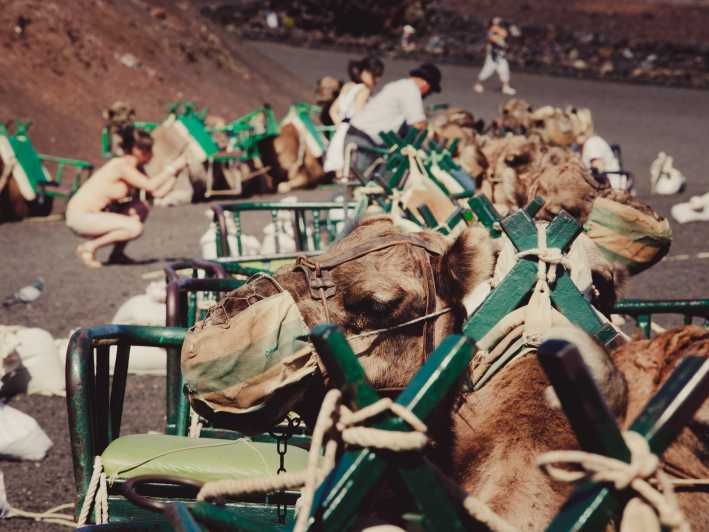 LANZAROTE: PANORAMIC ISLAND TOUR