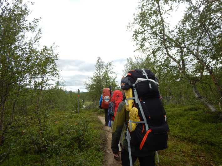 Lapland: Three Day Trekking in the Swedish Highlands
