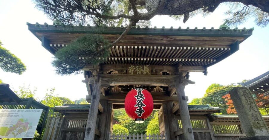 Largest Wooden Buddha, Temples, Cultural Experience