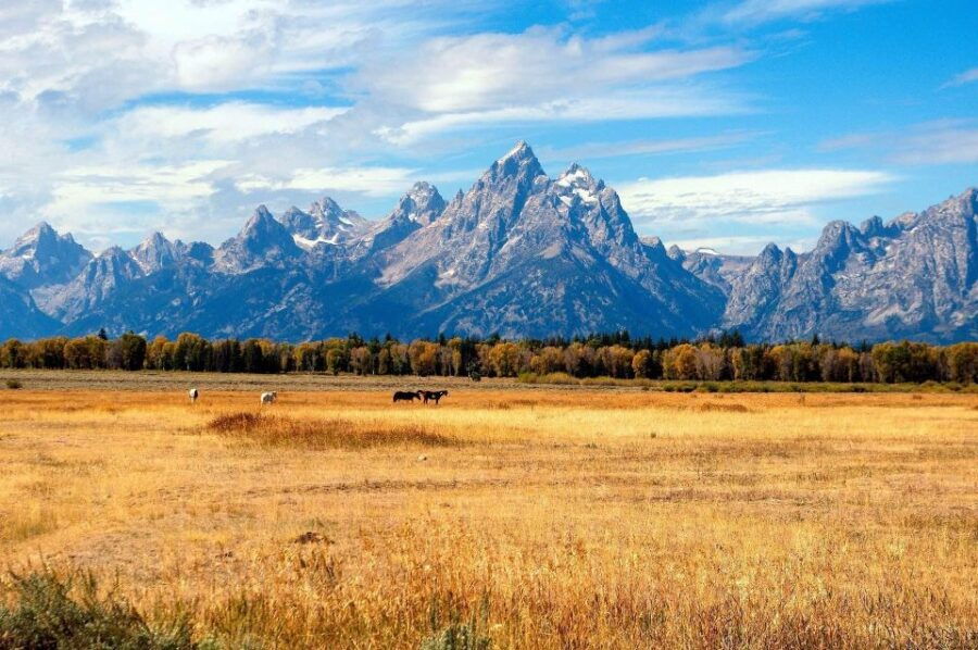 LAX 8-day Tour Unique Yellowstone National Park Experience