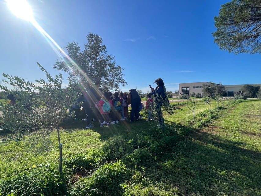 Lecce: Oil Mill Tour, Olive Oil Tasting & Typical Products