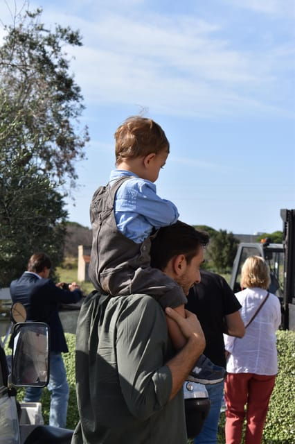 Lecce: Oil Mill Tour & Olive Oil Tasting - Activity Overview
