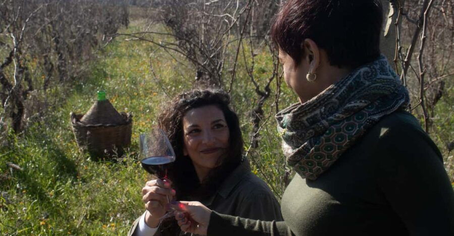 Lecce: Wine Tasting and Authentic Rural Experience - Discovering Salentos Indigenous Grapes