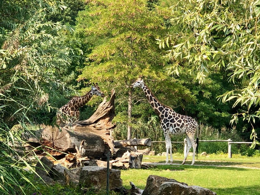 Leipzig: Segway Tour (Scenic Line With Views & Animals)