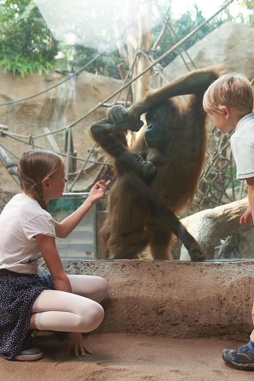 Leipzig: Zoo Admission Ticket - Ticket Pricing Details