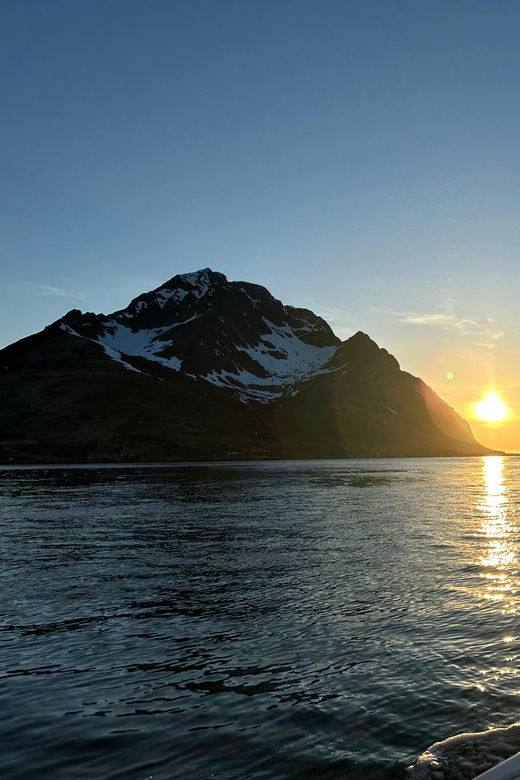 Leknes: 2 Hour Private Exclusive Midnight Sun Cruise by Boat