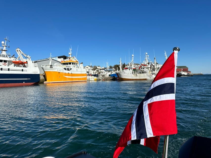 Leknes: 4 Hours Private Exclusive Boat Sightseeing