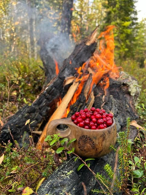 Levi: Autumn Hike and Reindeer Farm Visit - Overview of the Activity