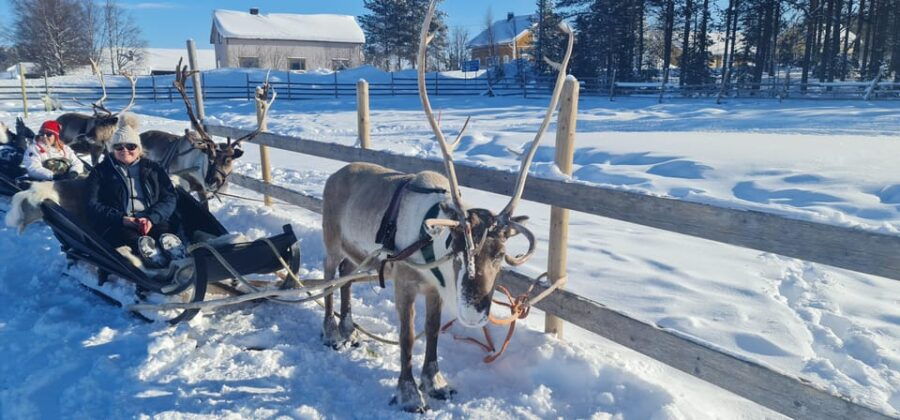 Levi: Canoeing Day Trip With Reindeer Farm Visit - Overview of the Canoeing Trip