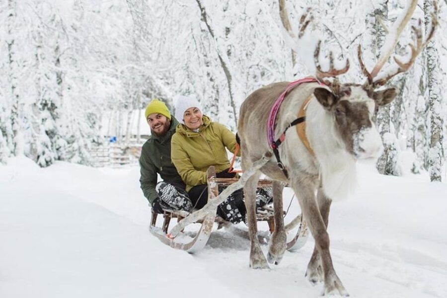 Levi: Lapland Reindeer and Husky Safari