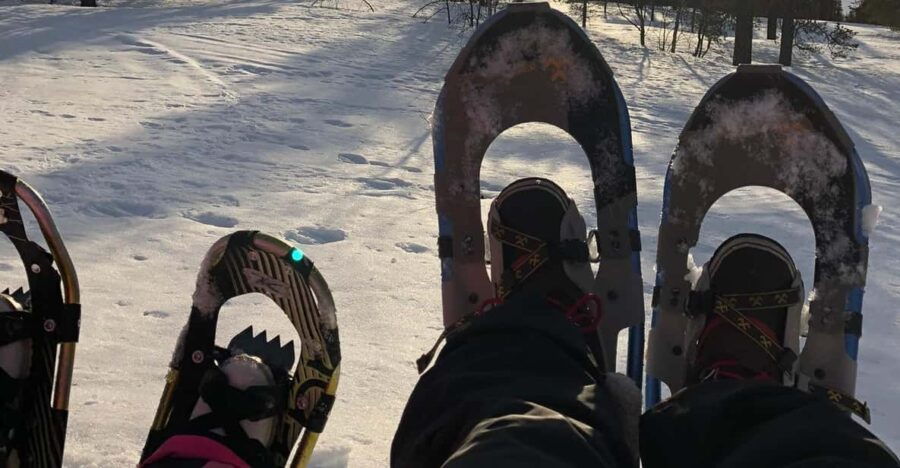 Levi: Snowshoeing and Reindeer Farm Visit - Overview of the Experience
