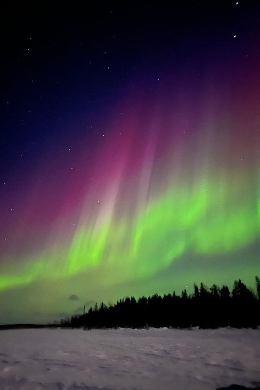 Levi: Winter Northern Lights Adventure - Overview of the Adventure