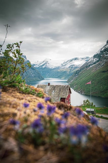 Lj Øen, Hellesylt: Lj Øen Farm Tour