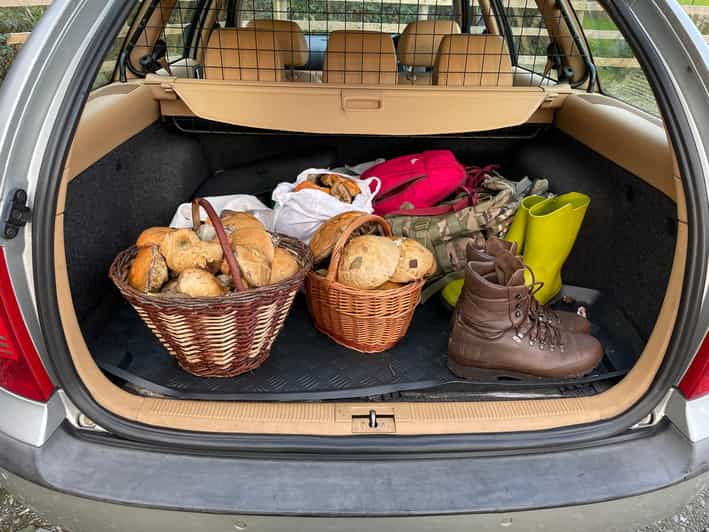 Loch Lomond: Guided Wild Food Forage & Feast - Overview and Pricing