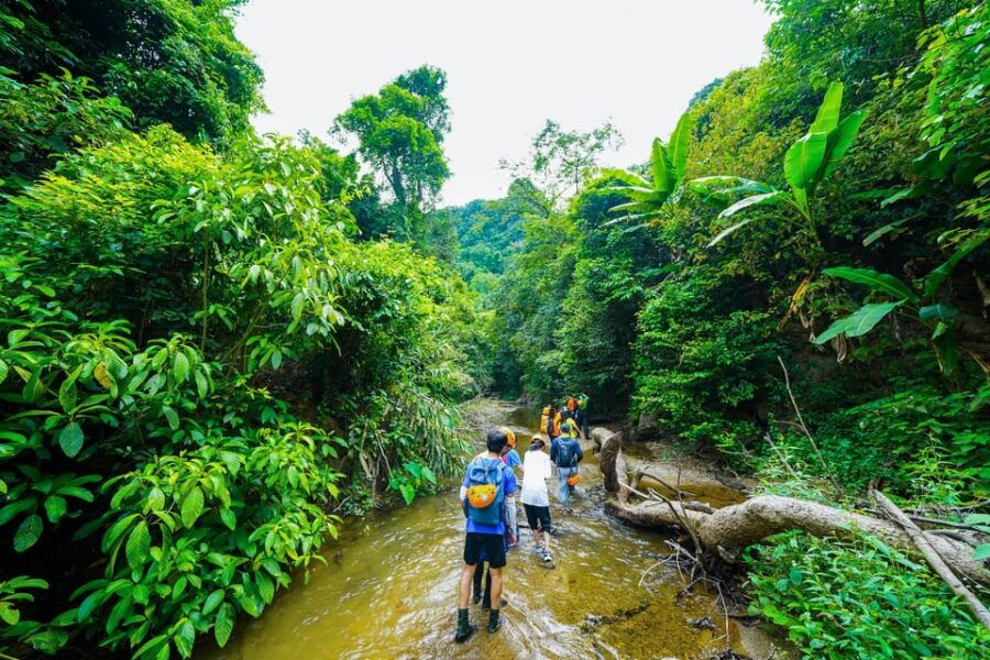 Ma Da Valley Jungle Camping 2D1N