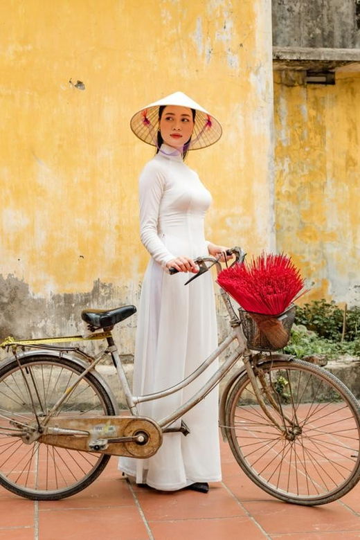 Majestic Full-Day Private Tour: Hoi An to Hue City - Itinerary Highlights