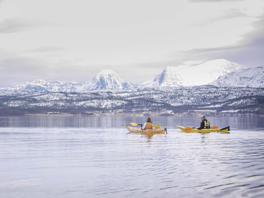 Malangen: Fjord Kayaking With Lunch - Activity Overview