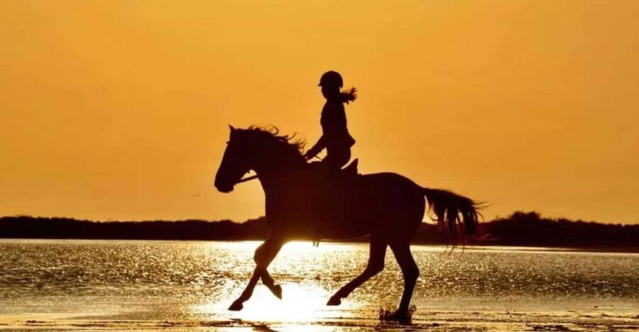 Manavgat Side: Horse Riding on the Beach and in the Forest