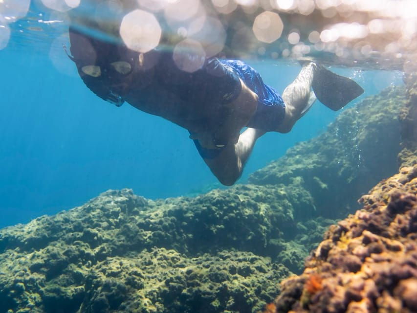 Marine Biology & Snorkelling Experience in the Cinque Terre - Experience Overview