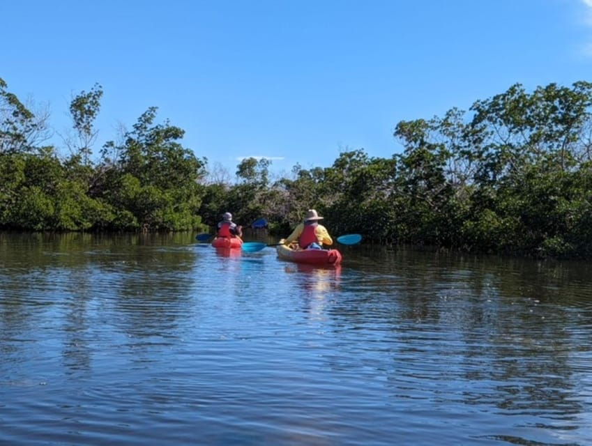 Matlacha: Dolphin & Mangrove Kayak Tour