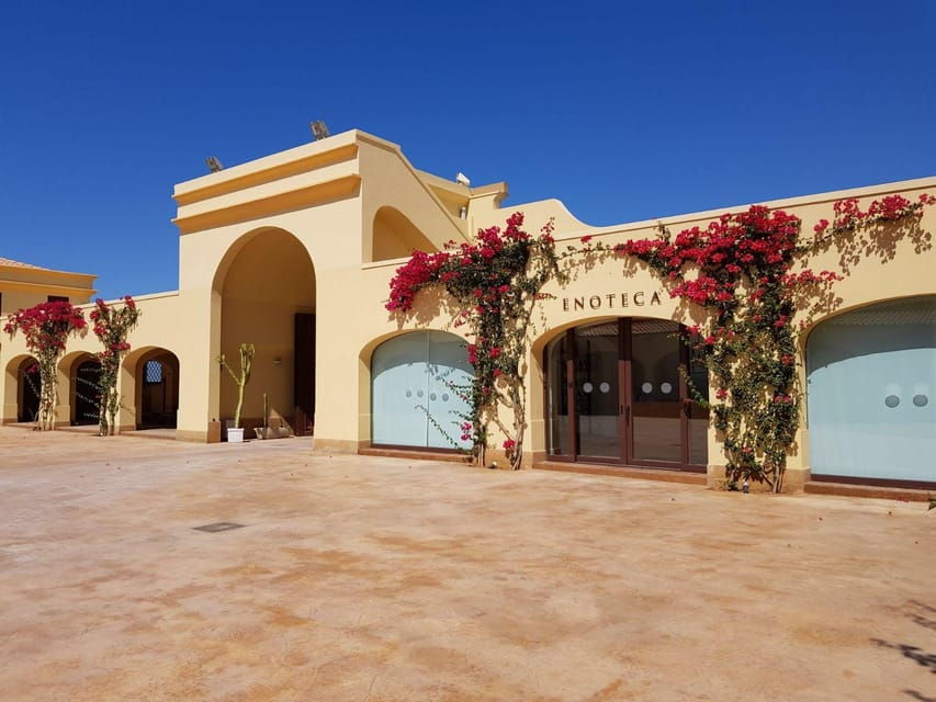 Mazara Del Vallo: Wine Tasting in the Nature Reserve - Activity Overview