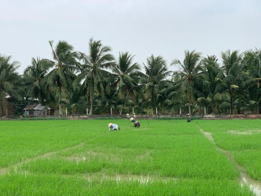 Mekong Delta: Experience the Hidden Gem of Local River Life