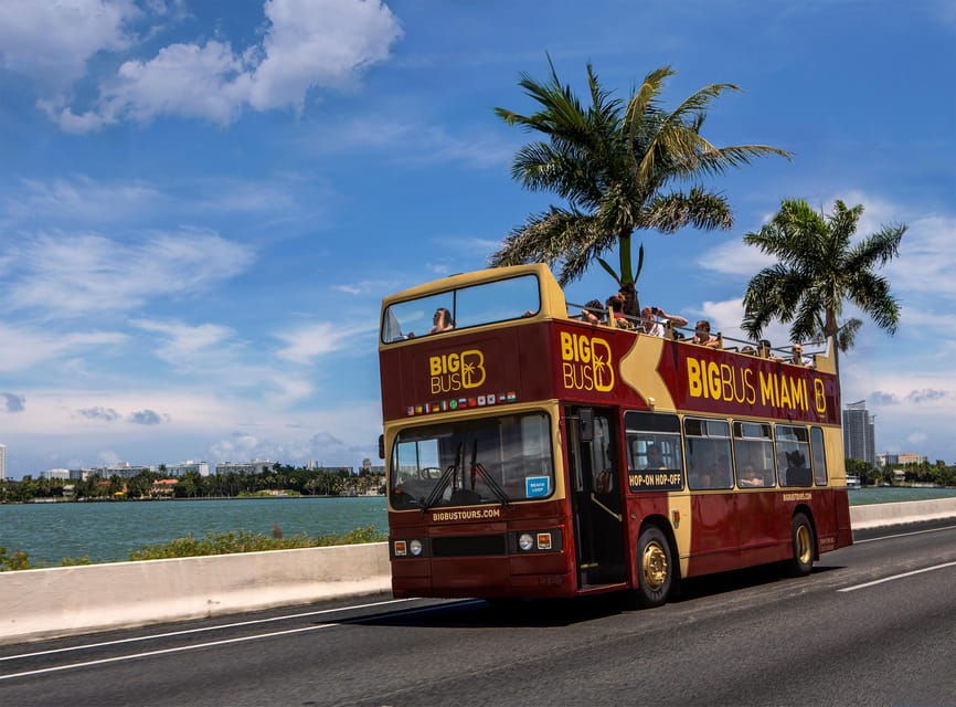 Miami: Everglades Adventure & Big Bus Hop-on Hop-off Tour