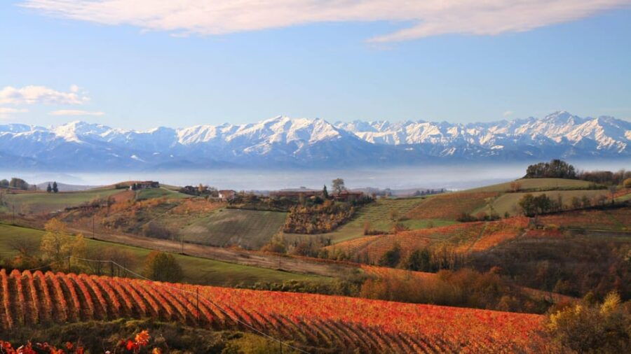 Monforte Dalba: Immersive Tour in a Family Run Winery