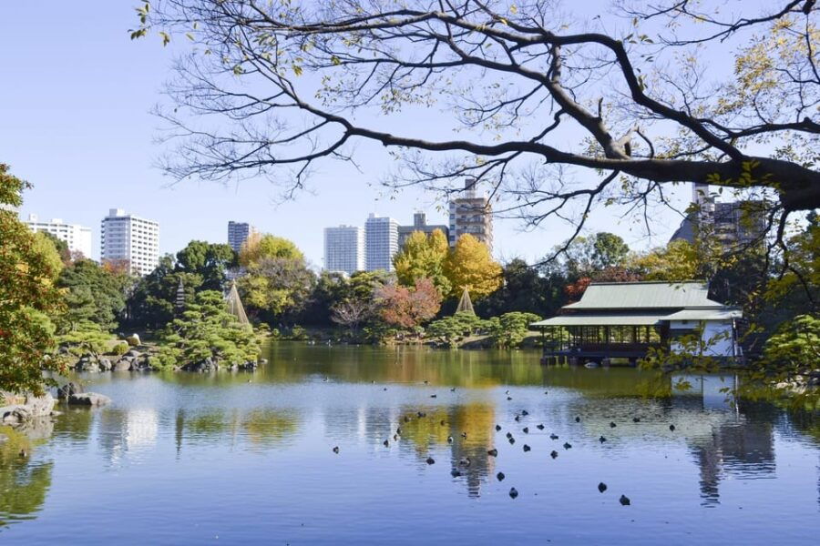 Monzen-Nakachō: Walking Tour With Sashimi Lunch & Teamlab - Tour Overview and Pricing
