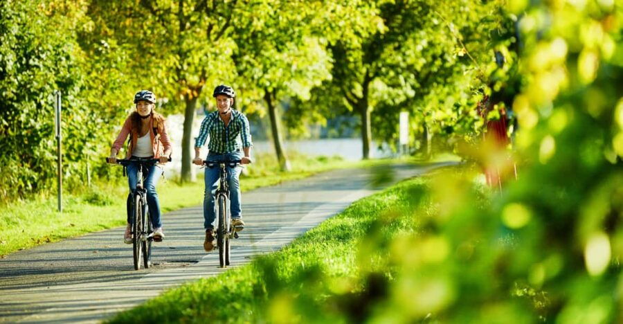 Mosel: Bike and Boat Tour With Picnic and Wine Tasting