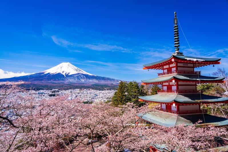 Mount Fuji 1-Day Trip: the Hottest Photography Tour - Tour Overview and Pricing