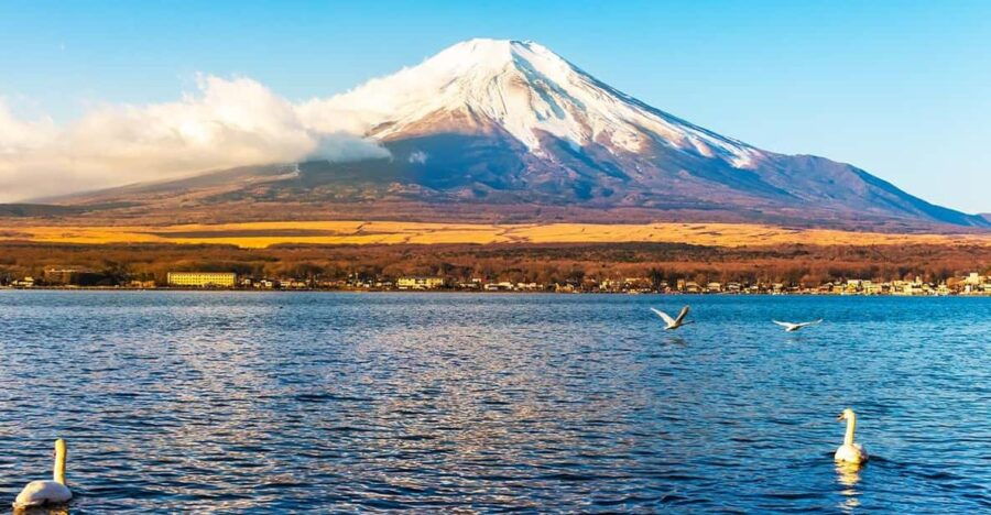 2 Best Spa And Hot Springs Experiences In Fujiyoshida