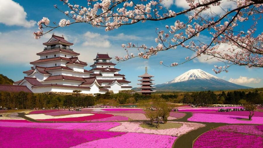 Mt Fuji Tour With Experienced English Driver - Tour Overview and Pricing