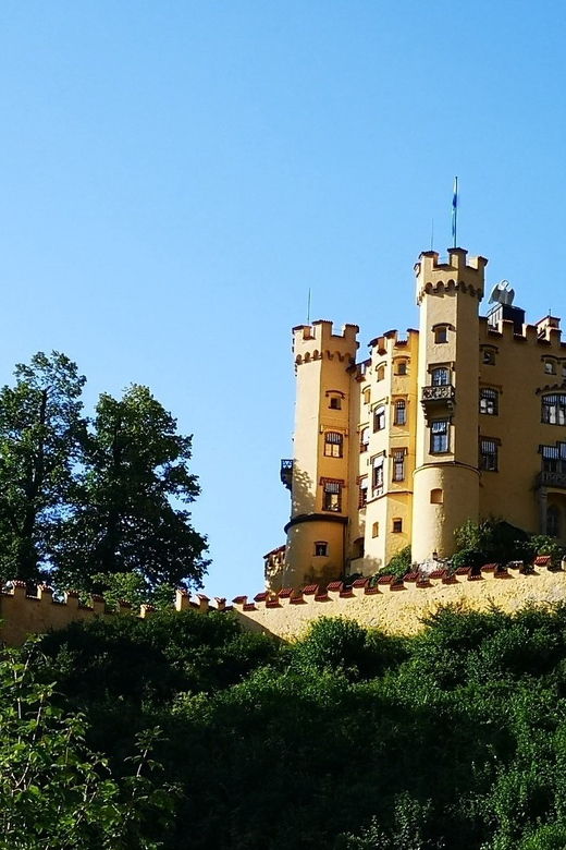 Munich: Neuschwanstein Castle by Bus With Alpine Bike Ride