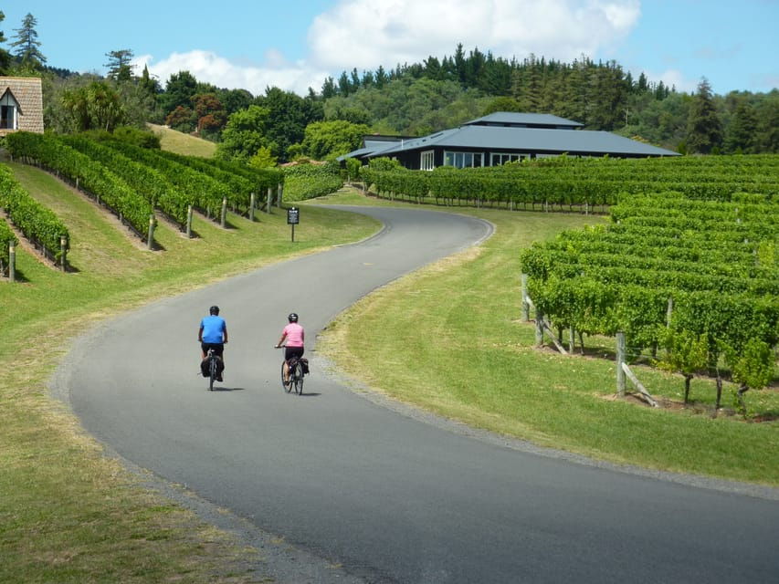 Napier: Cape Coast Winery Tour on Pedal or E-Bikes - Tour Overview
