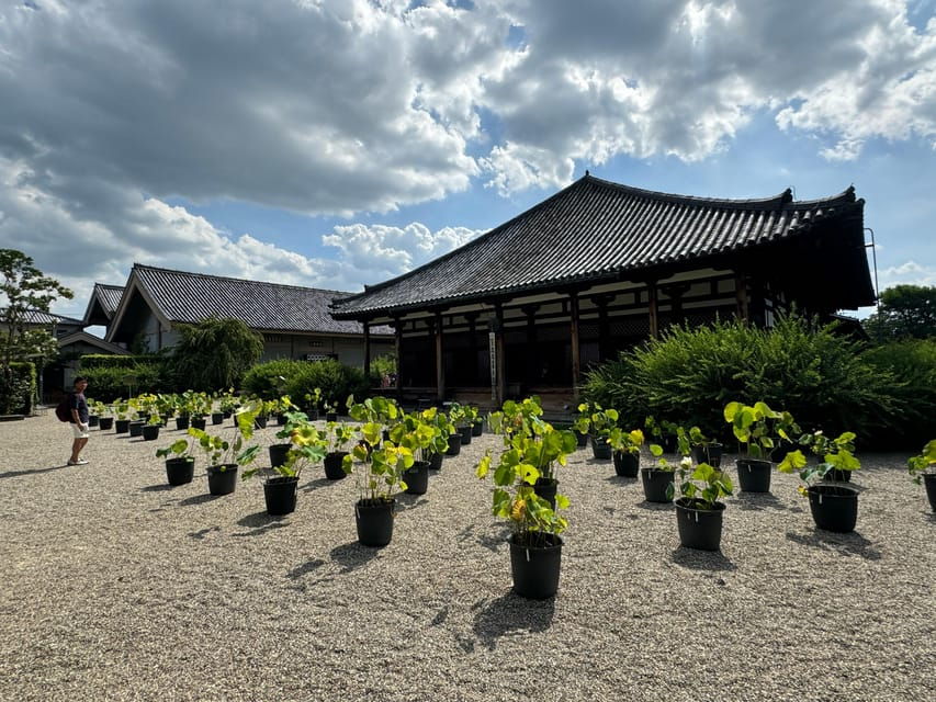 Nara: Explore Gangoji Temple and Naramachi in 90 Minutes
