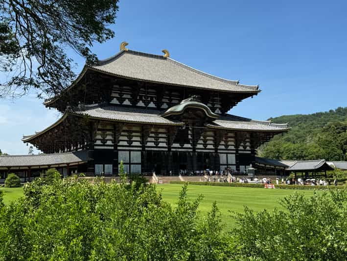 Nara: Highlights of Nara in 3 Hours - Guided Tour - Itinerary Breakdown