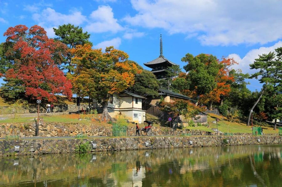 Nara:Private Walking Tour With Famous Spot & Sake & Mochi