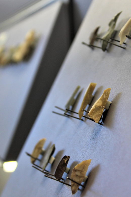 Nardò (Nardò-Lecce): Guided Tour of the Museum of Prehistory