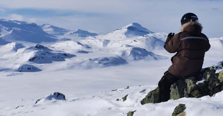 Nature Lovers – 24 Hours Taste of a Pristine Arctic Nature