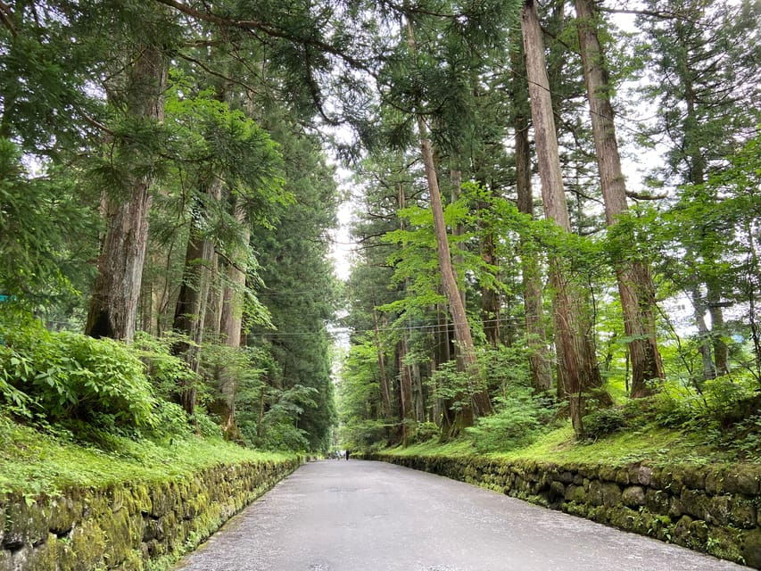 Nikko: THE TOUR From NIKKO STATION (LOCAL GUIDE) - Tour Overview