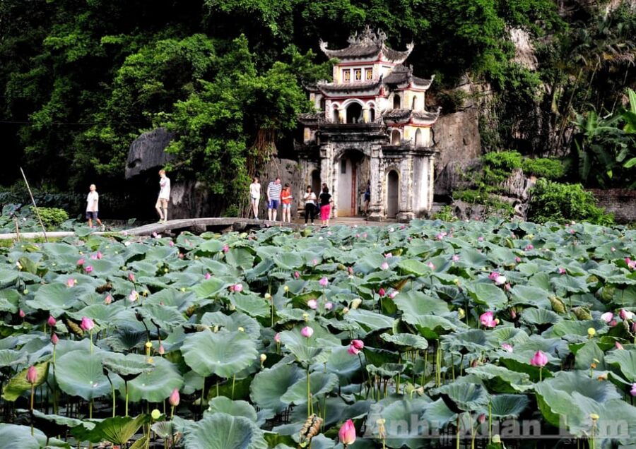Ninh Binh Luxury 1 Day Tour With Limo: Trang An & Bich Dong