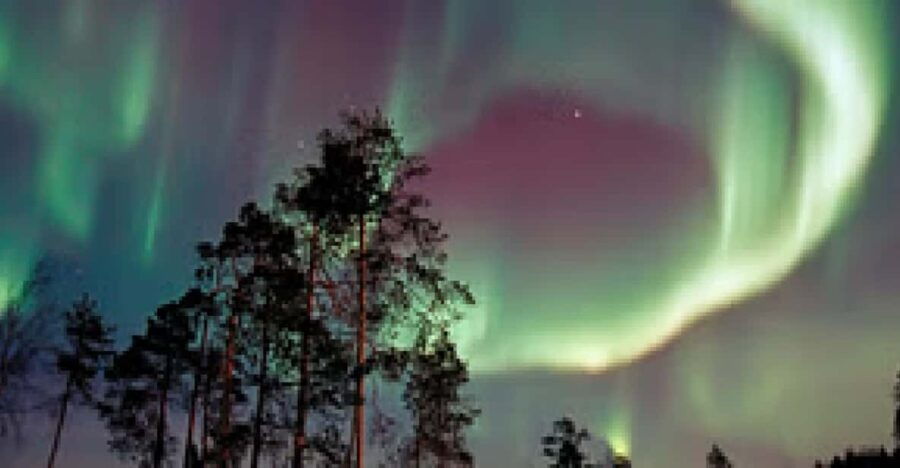 Northern Lights Hunting With Aurora Workshop
