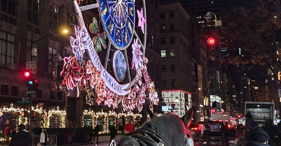 NYC: Christmas Lights Horse Carriage Ride - Activity Overview and Pricing