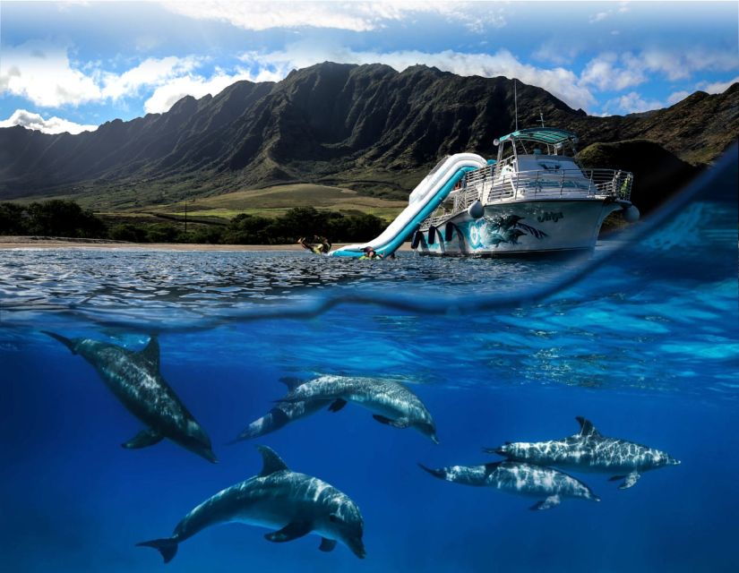 Oahu: Dolphin Watching With Lunch and Ocean Sports - Tour Overview and Pricing
