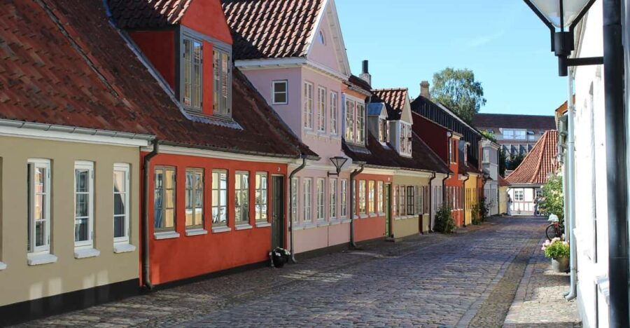Odense Private Guided Walking Tour