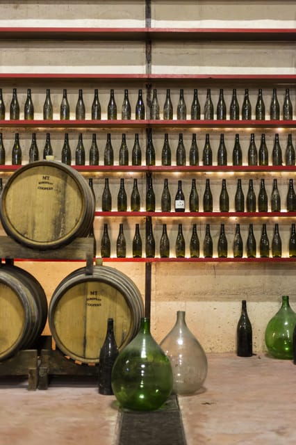 Offida: Tasting Itinerary of Rosso Piceno DOC Superiore