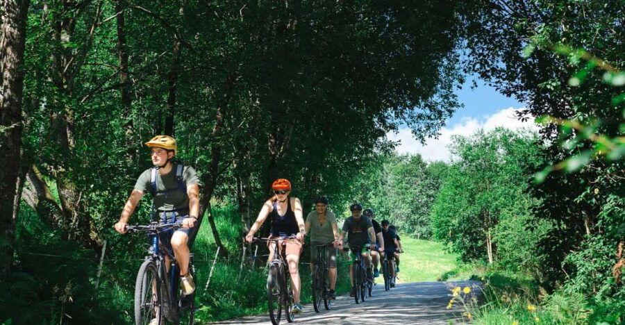 Olden: Fjord E-Bike Tour