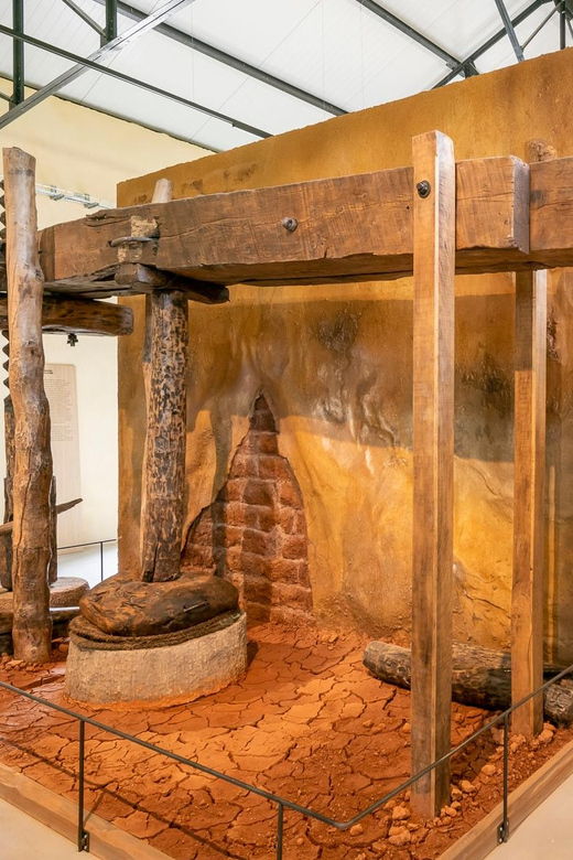 Olive Oil Museum Visit - Experience Overview